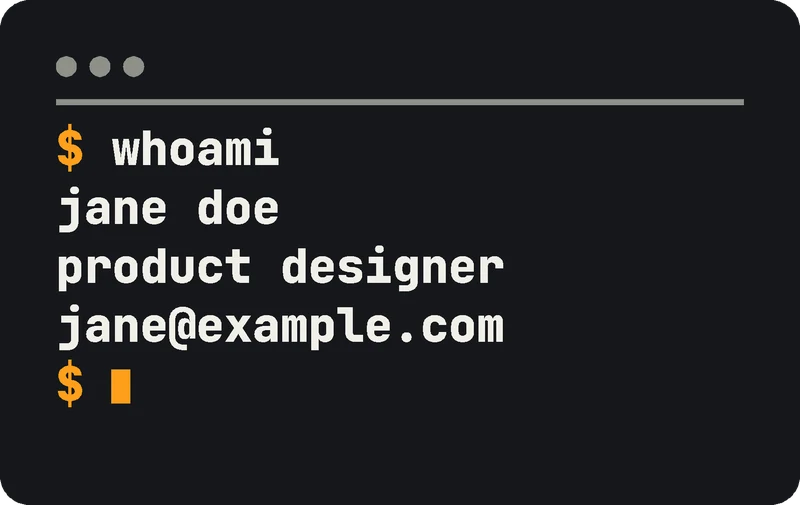 Terminal-style back: $ whoami, name, title and email